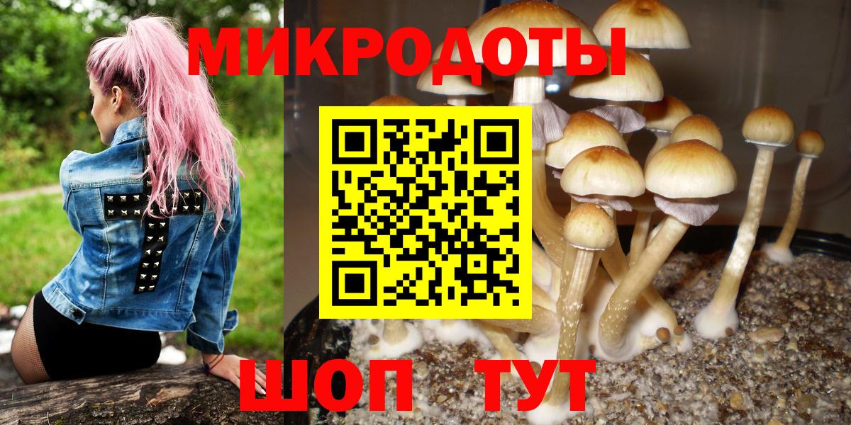 Псилоцибиновые грибы ЛСД  Вход с VPN  Верхняя Пышма  Галлюциногенные грибы ЛСД 