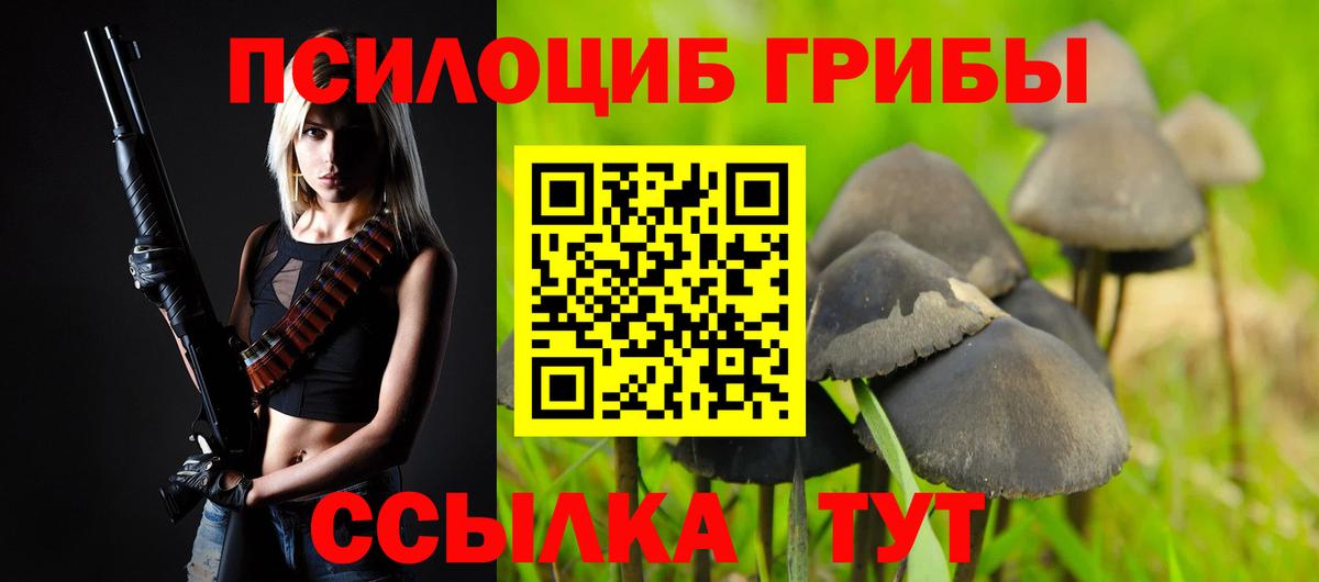 Галлюциногенные грибы Psilocybine cubensis Верхняя Пышма