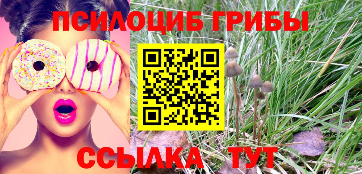 КОКАИН Верхняя Пышма