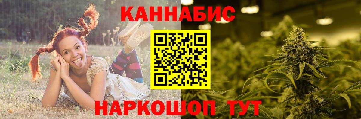 Бошки Шишки план  Бошки марихуана White Widow  Каннабис White Widow  Верхняя Пышма  Вход с VPN 